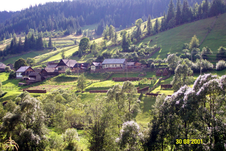 2001-08-30 15-56-41.jpg - RO Fahrt von Baia Mare ueber Sighetu-Marmatiei und Viseu de Sus und Vatra Dornei nach Bistrita